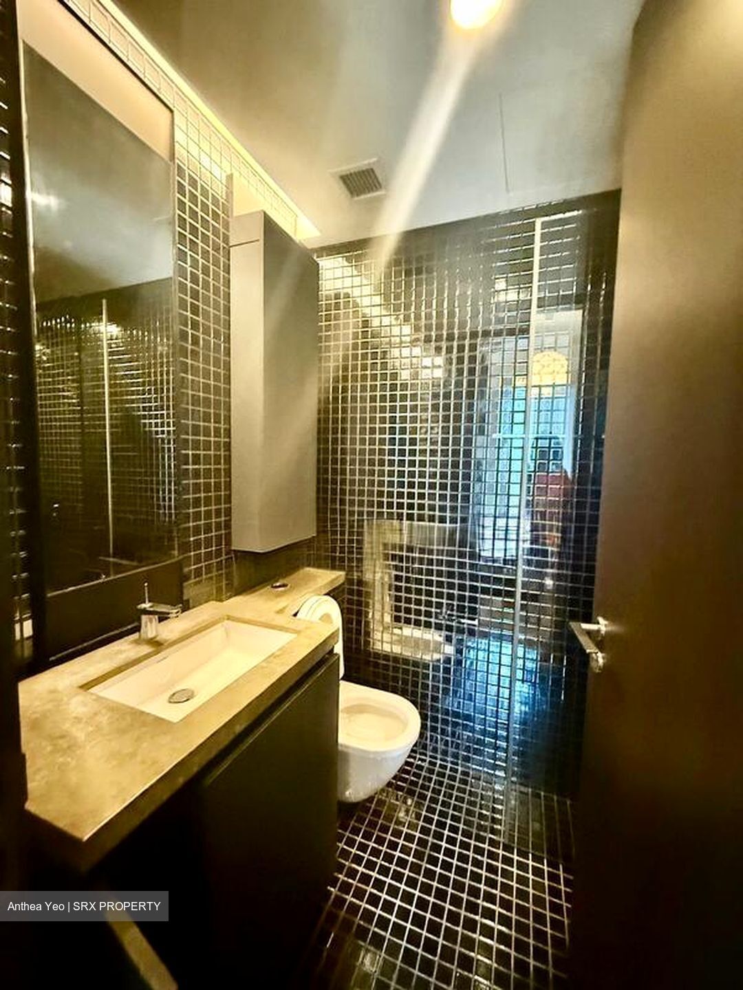 Skysuites@Anson (D2), Apartment #631954961